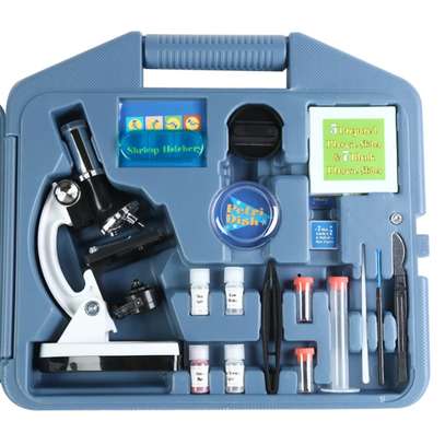 Microscope image 2