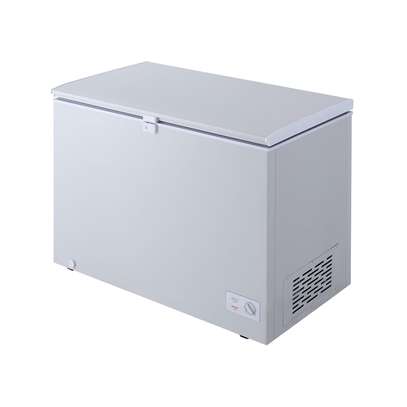 CONGELATEUR LG HORIZONTAL 300LITRES image 4