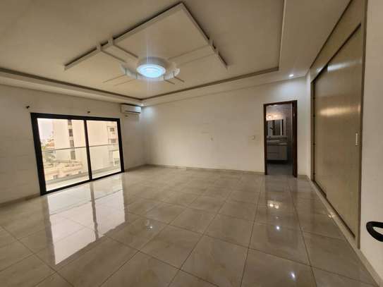 Penthouse F5 et terrasse à louer Mermoz image 7