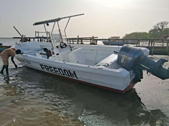 2 Bateaux à vendre image 13