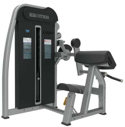 Seiko Fitness machine musculation biceps poids ajustable image 2