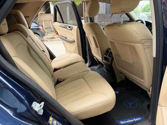 GLE image 4