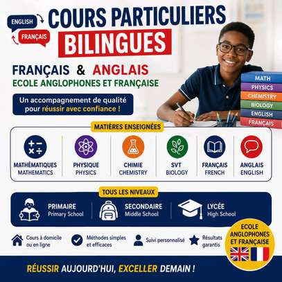 Cours de renforcement bilingues Français - Anglais à Dakar image 3