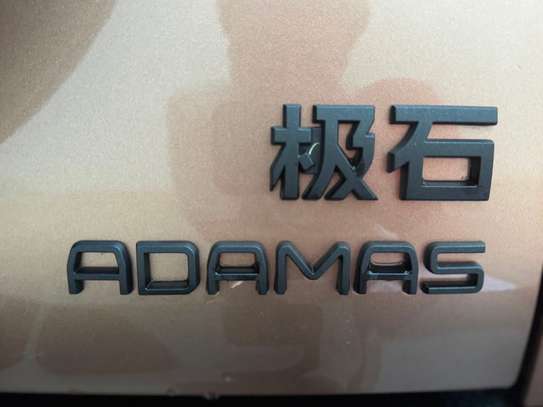 ROX ADAMS 2026 image 7