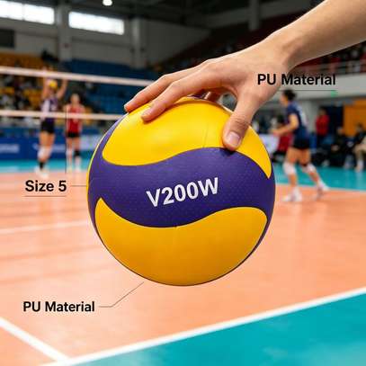 Ballon de volley-ball image 3