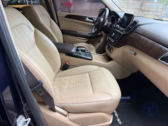 GLE image 7