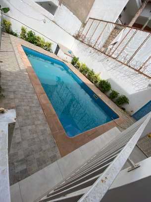 Magnifiques villa au ALMADIES image 12