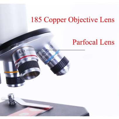 Microscope image 5