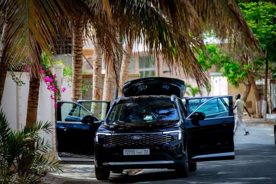 Ford Territory image 2