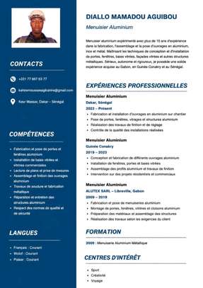 REDACTION DE CV PROFESSIONNEL ET LETTRE DE MOTIVATION. image 9