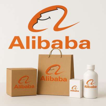 Formation Alibaba importation sécurisée et complète image 3