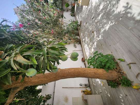Villa à mermoz image 15