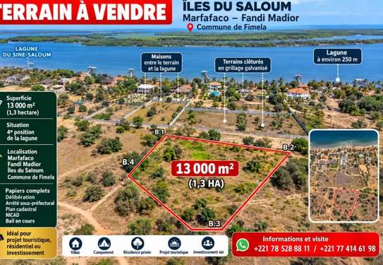 TERRAIN À VENDRE – ÎLES DU SINE-SALOUM Commune de Fimela image 2