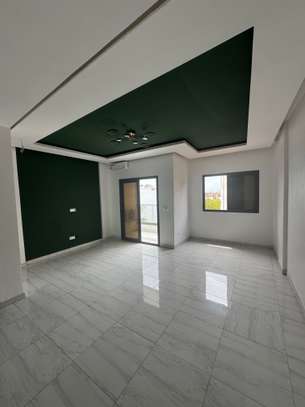 MINI STUDIO FASS VERS ISM image 10