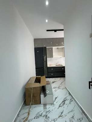 APPARTEMENTS AUX MAMELLES image 4