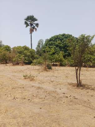 Verger 3ha à vendre à Ndianda Ngeuniène sur la route de joal image 3