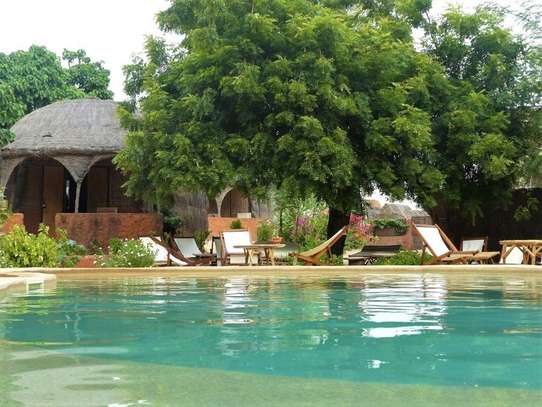 Ecolodge de Simal image 2