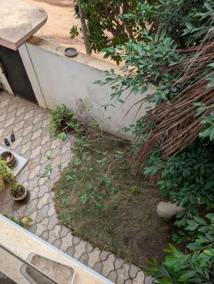 Maison 320m2 angle a vendre au virage image 12