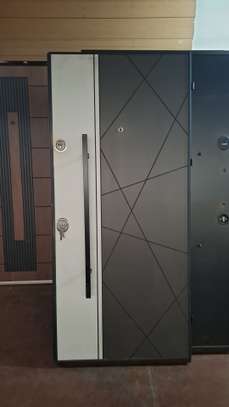 Portes Blindées 1 choix image 3