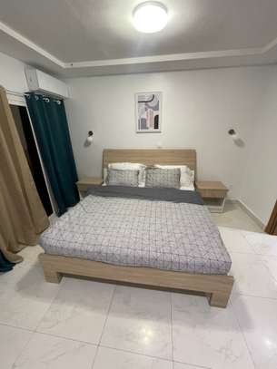 Magnifique Appartement F3 meublé à louer image 6