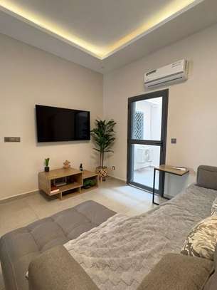 Appartement F2 meublé situé à louer image 11