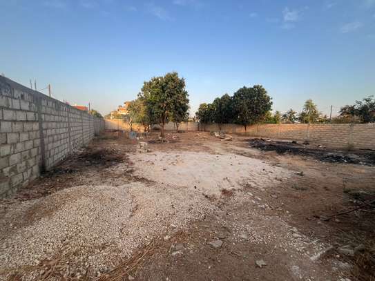 Terrain de 1000 m² entièrement clôturé à vendre 🌴✨ image 2
