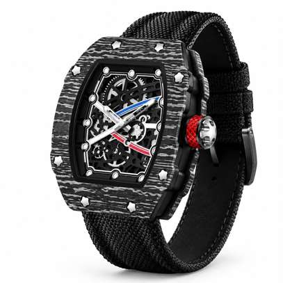WANTER RICHARD MILLE image 5