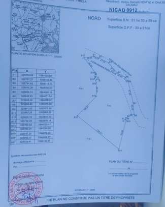 TERRAIN EXCEPTIONNEL À VENDRE – ÎLE DE SIMAL SINE-SALOUM image 8