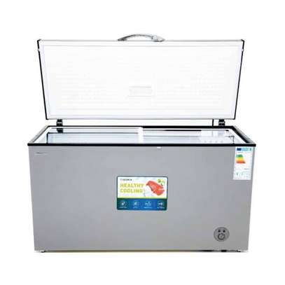 CONGELATEUR DESKA HORIZONTAL 500LITRES GRIS FRZ560DK image 2