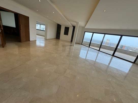 Penthouss à louer corniche plateau clinique madeleine image 3