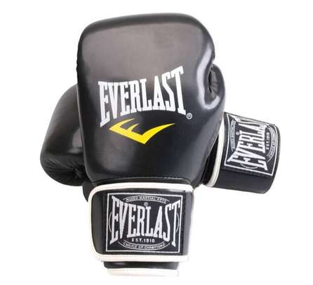 Everlast Gants de boxe Professionnel image 11