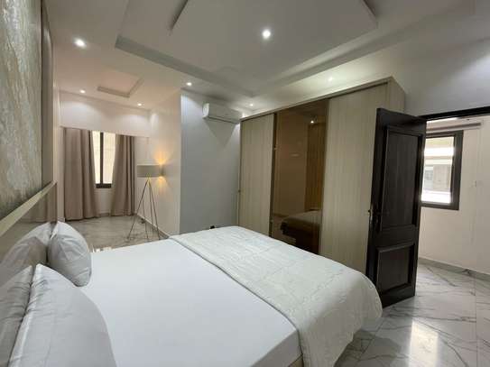 APPARTEMENT MEUBLE F3 A LOUER POINT E image 10