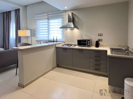 APPARTEMENT F2 EN DUPLEX - MEUBLÉ - MERMOZ image 4