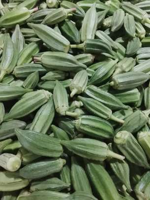 Notto agro-fournisseur image 10