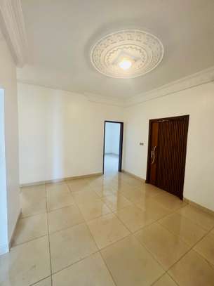 Appartement à louer Mermoz pyrotechnique image 6