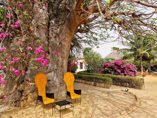 Baobab Lodge image 6