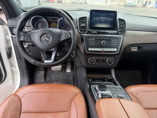 GLE image 13