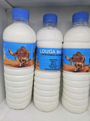 Lait de Chamelle Trésor du désert image 8