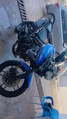 Triumph tiger 800 2017 papiers complet image 4
