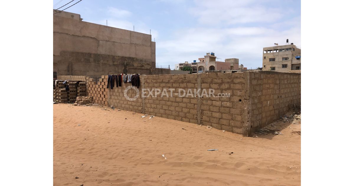 TERRAIN À VENDRE CITE APIX Tivaouane peulh ExpatDakar