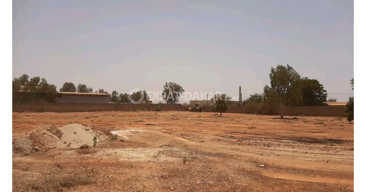 Terrain à vendre - Diamniadio | Expat-Dakar