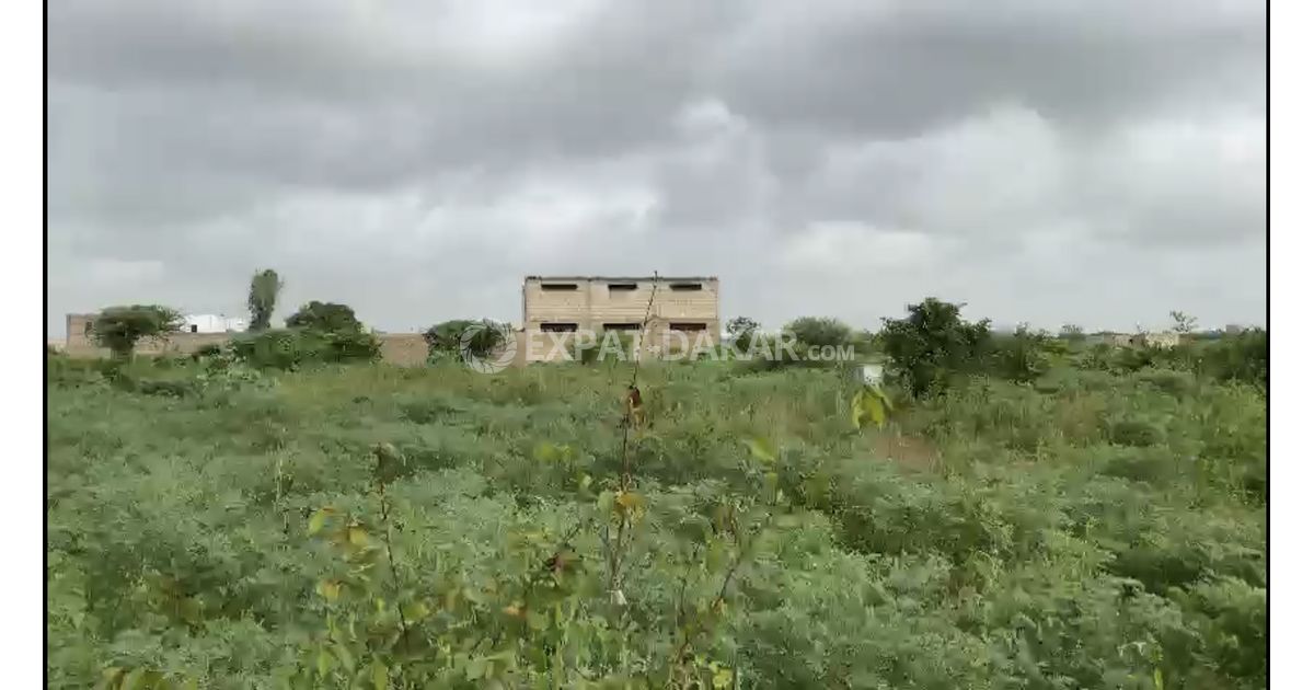 Terrain à vendre à thies (délibération) Thiès ExpatDakar