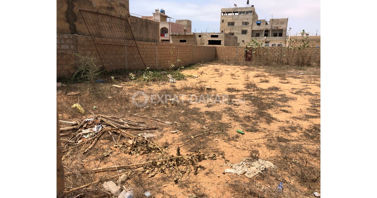 TERRAIN À VENDRE CITE APIX Tivaouane peulh ExpatDakar