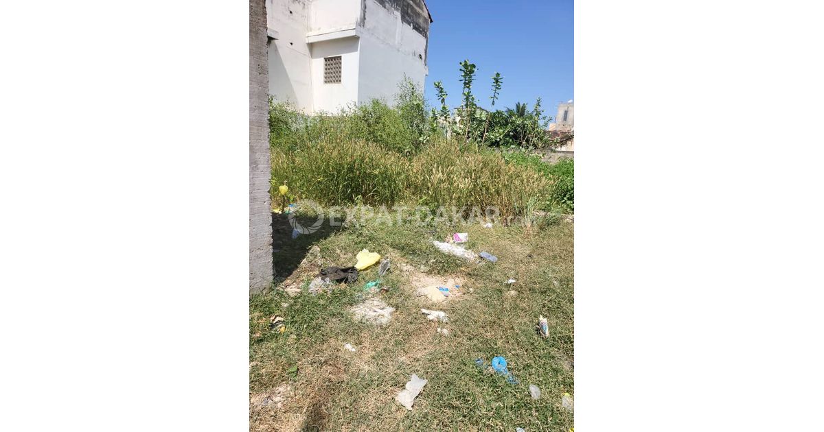 Terrain clôturé 400m2 à Rufisque Rufisque ExpatDakar