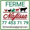 Ferme Nafissa
