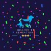MILLION DE SENSATIONS