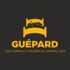 Guépard Meuble