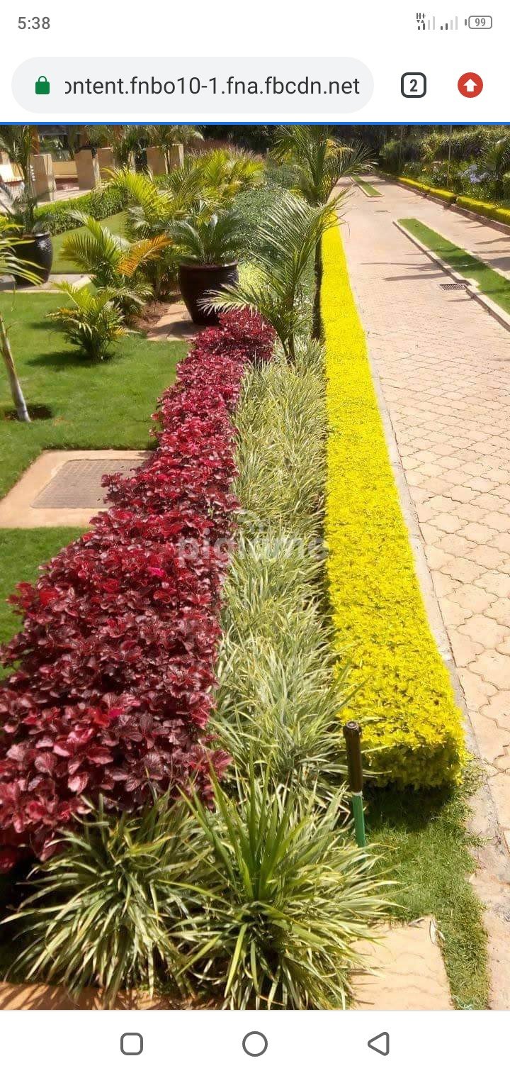 Landscaping services within western region of Kenya in Kisumu PigiaMe