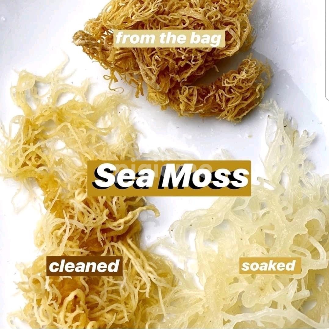 Seamoss superfood PigiaMe