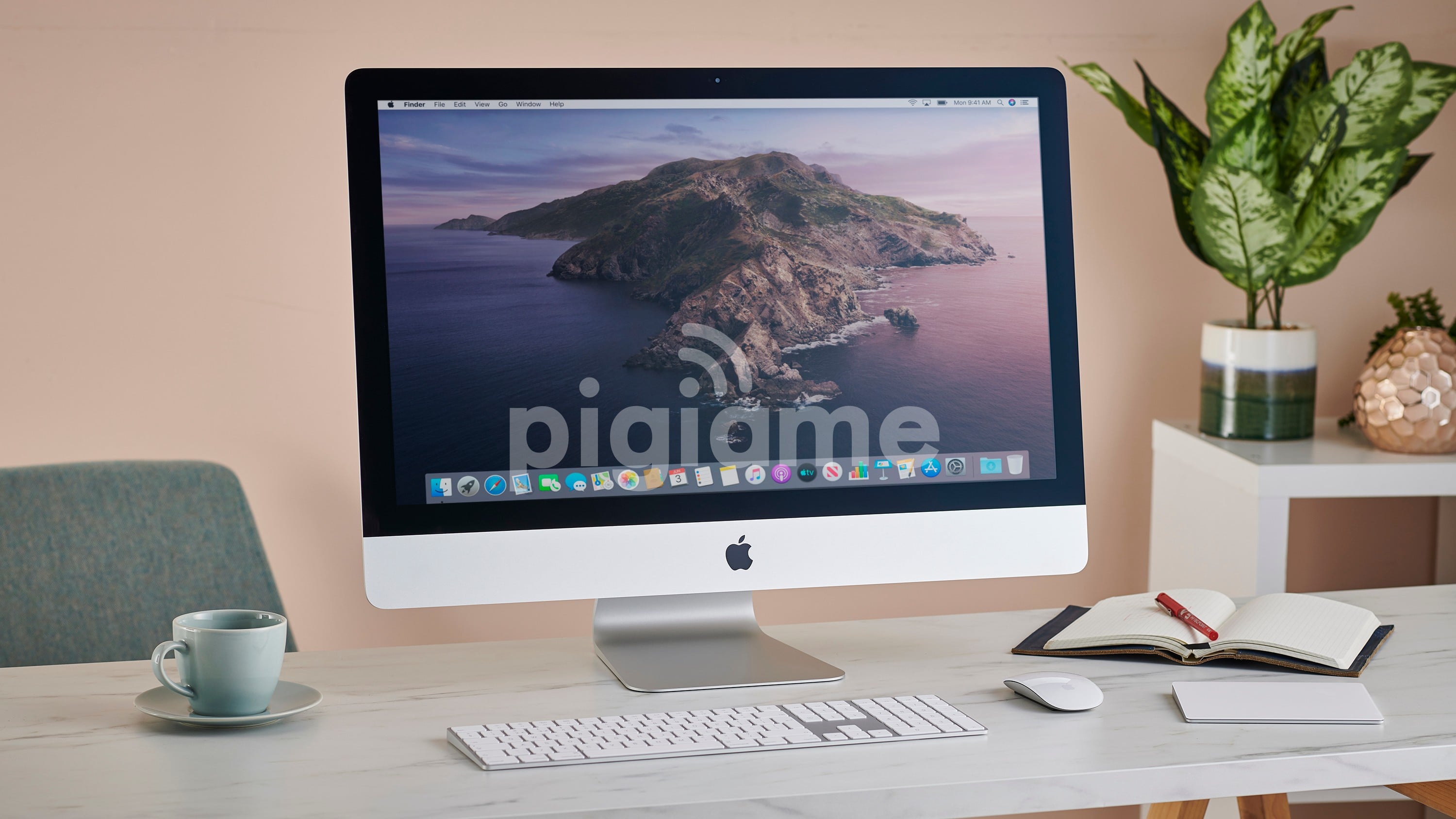 How To Germinate Cannabis Seeds